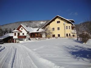 a house in the snow with a snow covered driveway at Ferienwohnung Schlögelhofer in Lunz am See