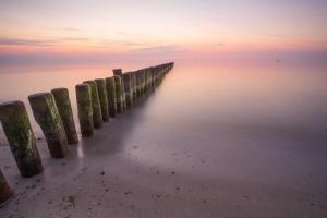 a row of posts in the water on a beach at Pension Arielle _ Objekt 28014 in Warnemünde