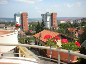 a view of a city from a balcony with red flowers at Pension Cluj in Cluj-Napoca