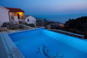 a blue swimming pool with a shark stencil on it at Villa Marta in Tucepi, private pool in Tučepi