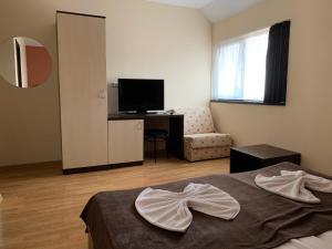 a room with a bed and a chair and a television at Family Hotel Piter in Golden Sands