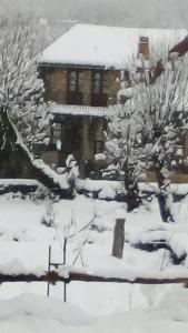 La Luciérnaga v zimě