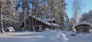 Chalet Ray Holiday Home om vinteren