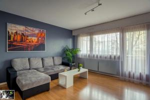 a living room with a couch and a table at Appartement Spacieux Schiltigheim in Schiltigheim