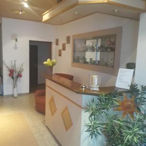 Vstupní hala nebo recepce v ubytování Pension Brix