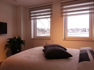 ein Schlafzimmer mit zwei Kissen auf einem Bett mit zwei Fenstern in der Unterkunft WELCOME B&B in Weismes