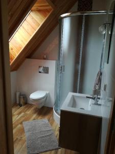ein Bad mit einer Dusche, einem Waschbecken und einem WC in der Unterkunft Domek "Pod Lubaniem" in Grywałd