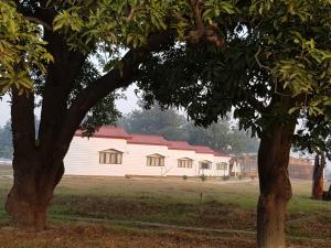 a large white barn with red roofs behind two trees at Living Green Farms in Allahābād