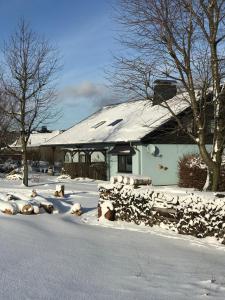 een groep schapen die in de sneeuw voor een huis liggen bij Ferienwohnung Haus Friederike ab 6 Übernachtungen, inclusive Meine Card Plus in Willingen