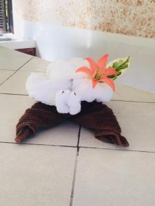 Foto dalla galleria di Chalets de Palma a La Digue