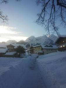 een met sneeuw bedekte weg met huizen en bergen op de achtergrond bij Ferienwohnung 2 Haus Dörfler in Abtenau