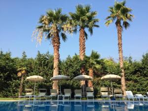 Fotografie z fotogalerie ubytování Sea Palace Hotel v destinaci Marina di Fuscaldo