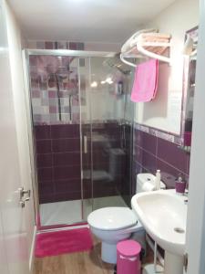 a bathroom with a shower and a toilet and a sink at El Balcón de la Mata in Mata de Quintanar