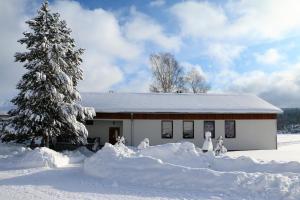 プジェドニー・ヴィートニにあるApartmány Na Výtoniの雪に覆われたクリスマスの木の横の家