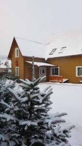 ヤシニャにあるHofの雪に覆われたクリスマスツリーを前に置いた家