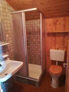 a bathroom with a shower and a toilet and a sink at Ausserwalderhof in Innervillgraten