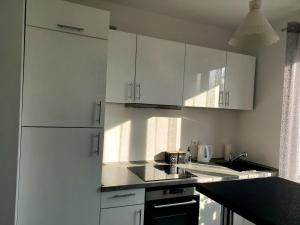 Kuchyň nebo kuchyňský kout v ubytování Apartament AltePost + 9 fotografií