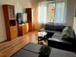 een woonkamer met een bank en een tv bij Apartament AltePost in Żary
