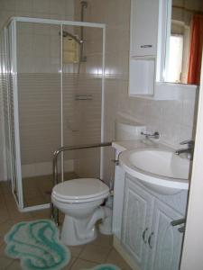 La salle de bains est pourvue de toilettes, d'une douche et d'un lavabo. dans l'établissement Ferienwohnung "Bubenhaus", à Sebnitz
