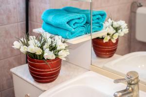 Fotografie z fotogalerie ubytování Apartments Mirjana v destinaci Pula