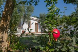 a house is seen through the leaves of a tree at Case Vacanze Uliveto in Mattinata