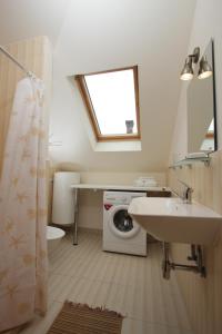a bathroom with a washing machine and a sink at Vila Ramybe in Palanga