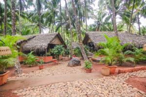 Palm Trees Ayurvedic Heritage外面的花园
