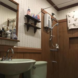 ein Badezimmer mit Waschbecken, Toilette und Spiegel in der Unterkunft La Famille Canyon Woods Tagaytay in Balibaguhan