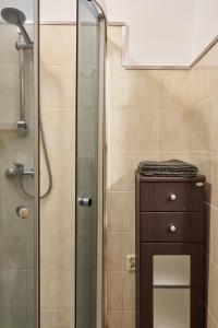 ducha con puerta de cristal junto a un armario de madera en Apartamenty Lord, en Świecie