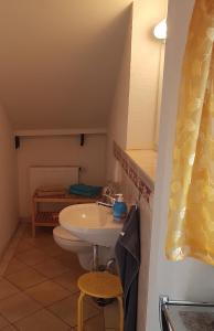 ein Bad mit einem Waschbecken und einem WC in der Unterkunft Ferienwohnung Hoffmann Grossdeuben DG in Böhlen