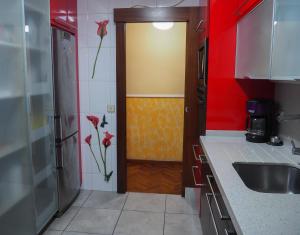 サンティアゴ・デ・コンポステーラにあるCruxa Apartments garaje incluidoの壁に花が飾られたドアのあるキッチン +20枚の写真
