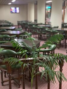 una clase con mesas, sillas y una planta en Hotel Savoia San Bernardo en San Bernardo