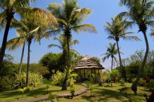 Young Island Resort外面的花园