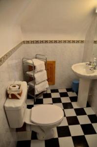 a bathroom with a white toilet and a sink at DeCourcey's Hazelbrook Farmhouse B&B in Cleggan