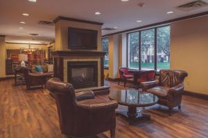 a living room with furniture and a fireplace at The Parkview Hotel in Syracuse