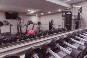 Fitness centrum a/nebo fitness zařízení v ubytování The Parkview Hotel