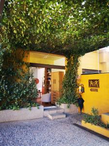 un bâtiment avec un mur recouvert de lierre dans l'établissement Hotel Casa en el Campo, à Morelia