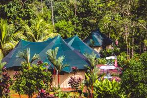 a couple of tents in the middle of a forest at Manoas in Uvita