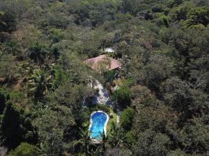 an aerial view of a house in the forest at Casa de la Naturaleza in Montezuma