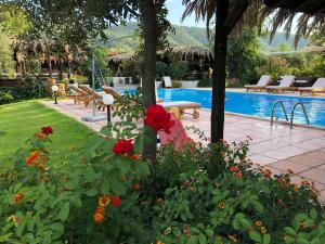 a garden with red flowers and a swimming pool at Kissos Apartments in Vourvourou