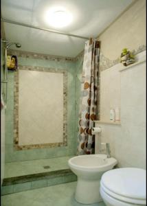 a bathroom with a toilet and a shower at Taverna rustica in Toscana in Fucecchio