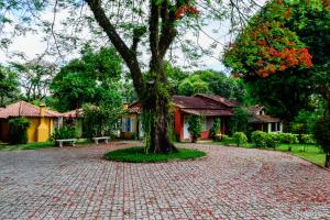 a tree in the middle of a brick road at Pousada Villa Luna in Penedo