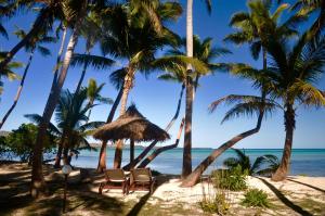 a group of palm trees on the beach at Coconut Beach Resort in Tavewa