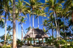 domek ze słomy na plaży z palmami w obiekcie Coconut Beach Resort w mieście Tavewa