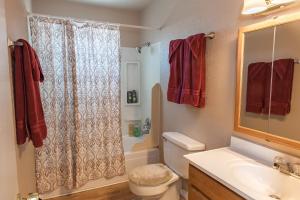 een badkamer met een toilet, een wastafel en een douche bij Mountain Song in Colorado Springs