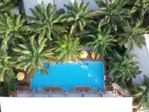 an overhead view of a swimming pool with palm trees at Le Pes Villas in Khanom