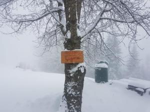 un cartel pegado a un árbol en la nieve en Chalet Lagorai, en Roncegno