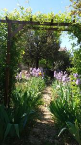 ゴルドにあるLe Jardin d'Adamの花の咲く庭園