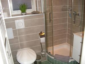 a small bathroom with a toilet and a shower at Fam Stana in Wienrode