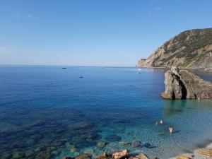 Naturlandskabet i nærheden af lejligheden